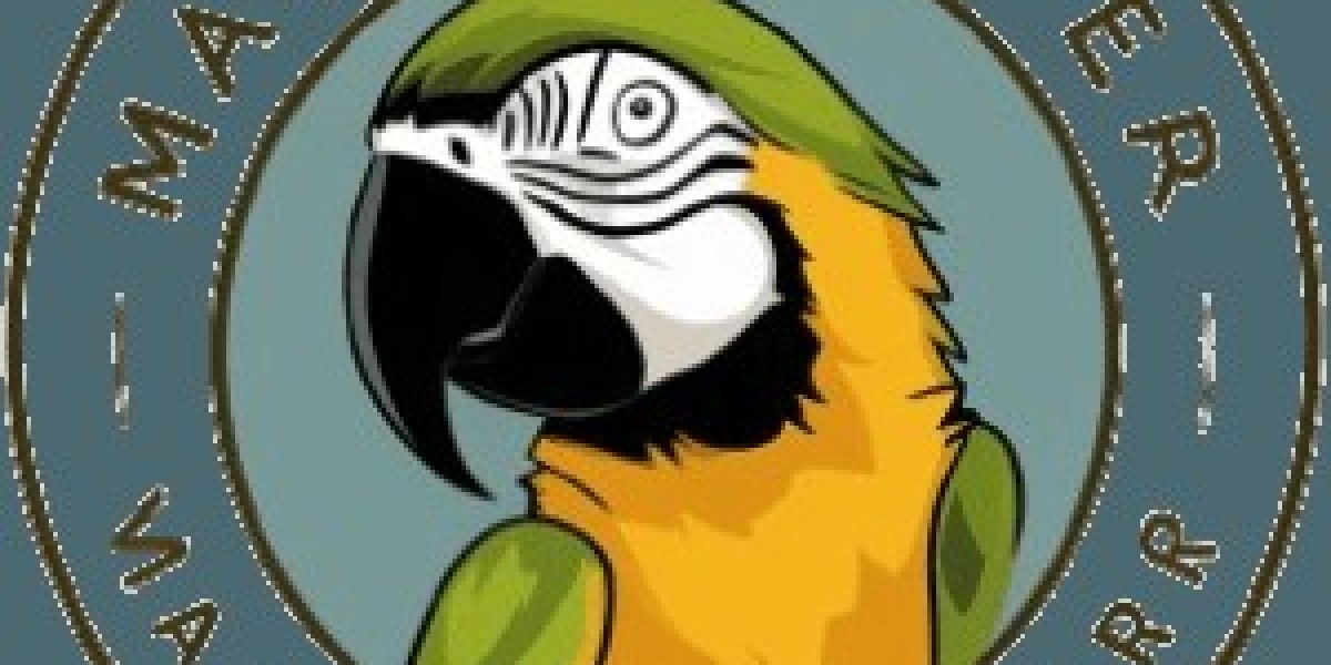The Joys and Responsibilities of Owning a Macaw