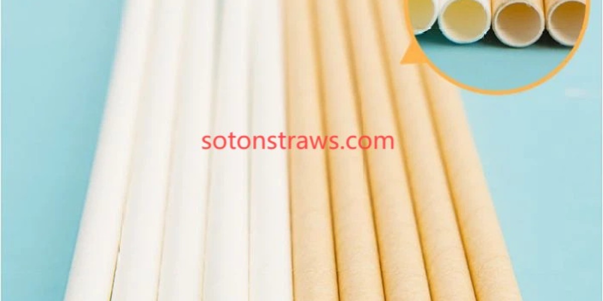 Soton’s PPWR Vanguard: Paper Straws Manufactory as Carbon Compliance Architects