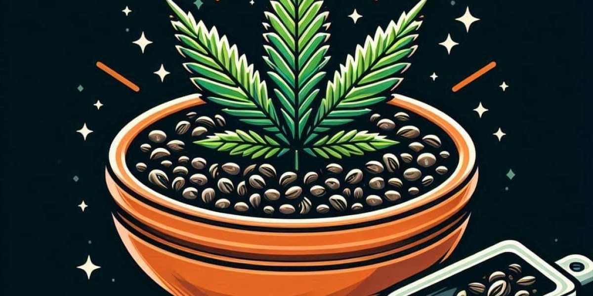 The Citrus Charm of Jack Herer Marijuana Seeds