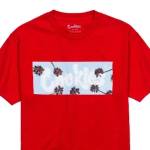Cookies Shirt Profile Picture