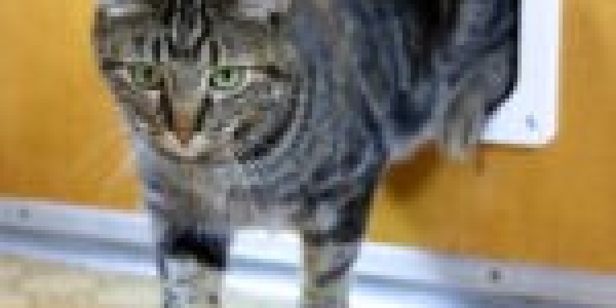 See What Cat Door Experts Tricks The Celebs Are Making Use Of