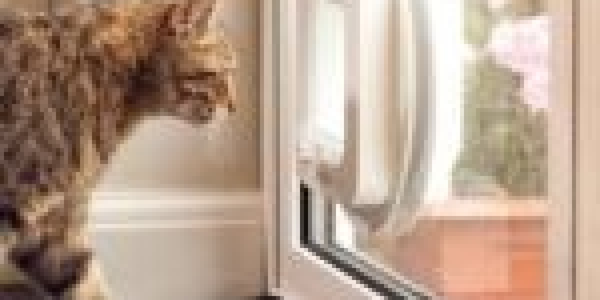 The 10 Most Terrifying Things About Cat Door Assembly